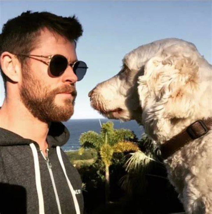 Chris Hemsworth Pets - Celebrity Pets