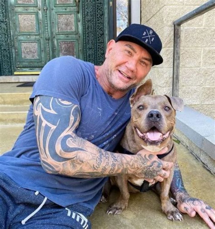 Dave Bautista Pets - Celebrity Pets