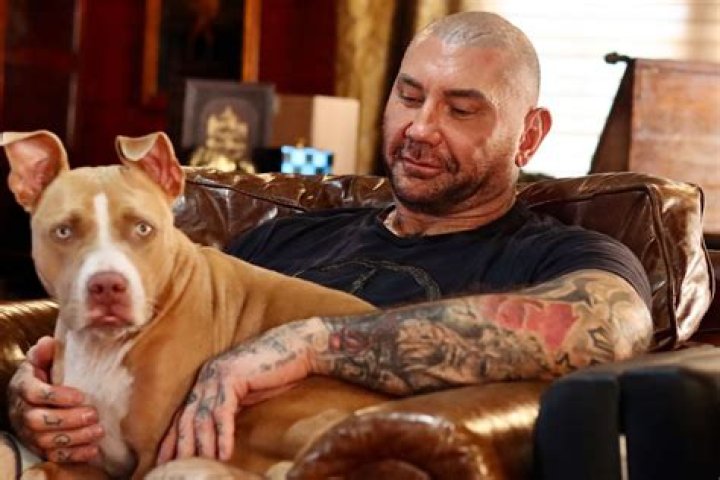 Dave Bautista Pets