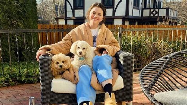 Leah Mei Gold Pets - Celebrity Pets