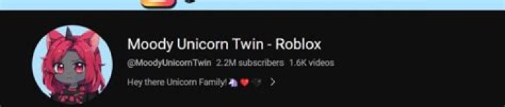 Moody Unicorn Twin Age Real Name, Face Reveal And Boyfriend